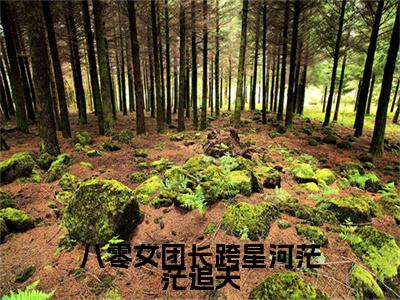 八零女团长跨星河茫茫追夫：结局+番外（周寄欢宋承钧）免费热荐最新全章节阅读_周寄欢宋承钧：结局+番外小说大结局免费阅读（八零女团长跨星河茫茫追夫）