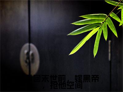 （头条）重回末世前，嫁黑帝，抢他空间小说(陈紫菱墨焱)整本免费版阅读无广告（重回末世前，嫁黑帝，抢他空间）