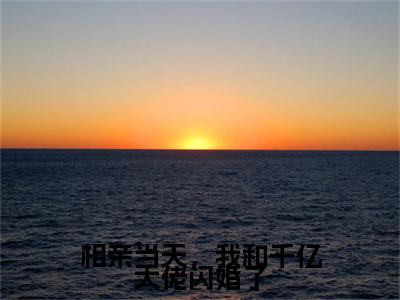 小说相亲当天，我和千亿大佬闪婚了(相亲当天，我和千亿大佬闪婚了)已更新+无删减（相亲当天，我和千亿大佬闪婚了）