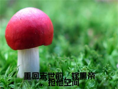 陈紫菱墨焱（重回末世前，嫁黑帝，抢他空间）结局+番外免费品鉴_（重回末世前，嫁黑帝，抢他空间）陈紫菱墨焱最新章节列表笔趣阁