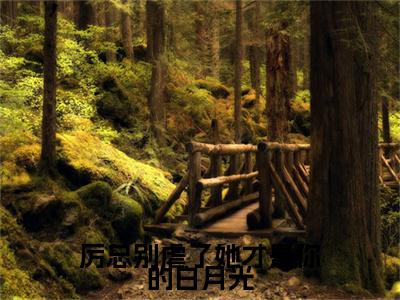 厉总别虐了她才是你的白月光厉寒年阮颜+后续+番外必读文-（厉总别虐了她才是你的白月光）厉寒年阮颜后续+番外精编之作笔趣阁