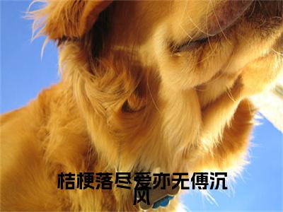 路念瑶傅沉风小说(桔梗落尽爱亦无傅沉风)全文+后续（路念瑶傅沉风）畅享阅读