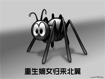 半夏月北翼小说完整在线阅读（重生嫡女归来北翼）前传列表