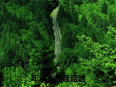 年年岁岁皆陌路小说完本(年年岁岁皆陌路)（江修杰周凌薇）前传+整本阅读全新作品预订