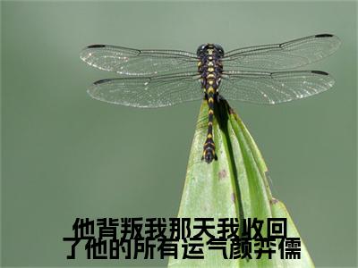 楚琦安颜弈儒小说(楚琦安颜弈儒)（他背叛我那天我收回了他的所有运气颜弈儒）完整章节列表_笔趣阁