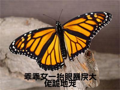 最新章节_笔趣阁（乖乖女一抬眼暴戾大佬跪地宠）乖乖女一抬眼暴戾大佬跪地宠小说(骆槐邢彦诏)在线畅读阅读