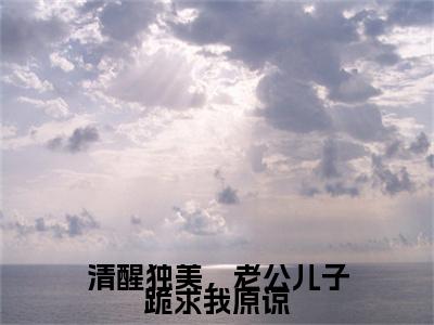 （清醒独美，老公儿子跪求我原谅）宁遥最终篇章(宁遥)全书在线无广告高口碑小说