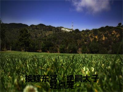换嫁东宫，绝嗣太子轻点宠宋云缨独孤羽续集(换嫁东宫，绝嗣太子轻点宠)章节前文+全书阅读（宋云缨独孤羽）最新连载