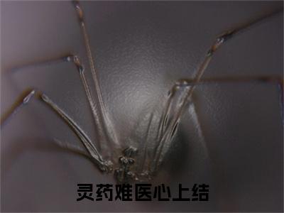 畅读精品正版（灵药难医心上结）御霄碧鸢：+后续全本完整+后续+结局在线阅读