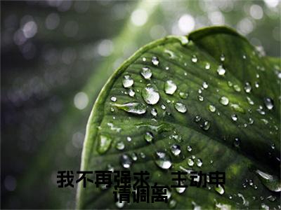 达瓦青占程晚梨后续(我不再强求，主动申请调离)（达瓦青占程晚梨）整本畅享在线+无广告结局