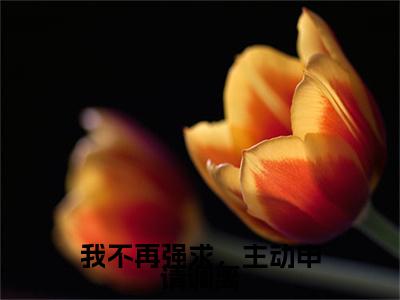新章速递达瓦青占程晚梨是什么小说(我不再强求，主动申请调离)完本阅读无广告（达瓦青占程晚梨）