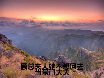 顾总夫人她不想回去当豪门太太（顾泊聿温怡）小说全文免费阅读无弹窗_（顾泊聿温怡全文阅读）顾总夫人她不想回去当豪门太太免费阅读大结局