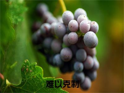 难以克制小说(难以克制)（林安李丽）完整章节列表_笔趣阁