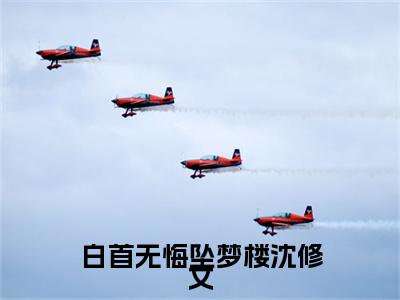 白首无悔坠梦楼沈修文后续（陆知意沈修文）全篇在线阅读前传