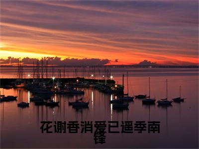 热门章节_宋辛瑜季南锋：结局+番外精编之作 花谢香消爱已遥季南锋：结局+番外评价五颗星