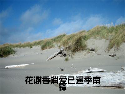 宋辛瑜季南锋(花谢香消爱已遥季南锋)整本+后续+（宋辛瑜季南锋）结局在线阅读