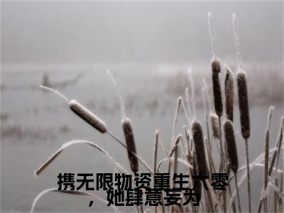 云悠悠傅景川小说(携无限物资重生六零，她肆意妄为)+前传（云悠悠傅景川）阅读