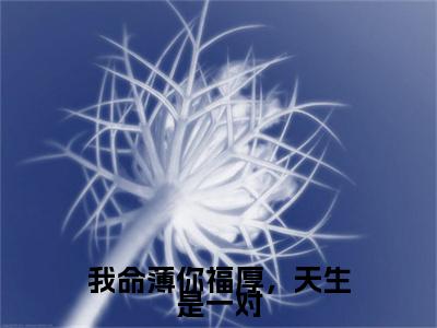 我命薄你福厚，天生是一对：结局+番外免费品鉴终极反转（沈晚晚陆回）：结局+番外评价五颗星