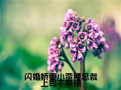 麦穗顾修言彩蛋小说结尾+附加（闪婚娇妻小蛮腰总裁上司不禁撩）清爽版阅读