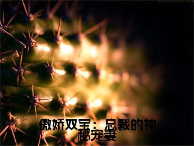 傲娇双宝：总裁的神秘宠妻乔岚月终章（乔岚月）完整章节列表_笔趣阁