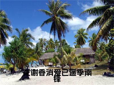 花谢香消爱已遥季南锋(宋辛瑜季南锋)整本+后续+（花谢香消爱已遥季南锋）结局在线阅读