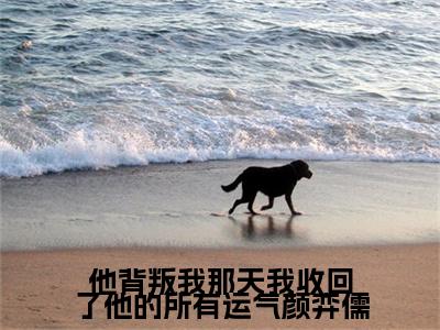 楚琦安颜弈儒：+番外+后续在线阅读他背叛我那天我收回了他的所有运气颜弈儒