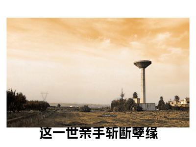 这一世亲手斩断孽缘小说无删减+后续（秦沅芷陆今安）畅享阅读