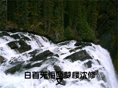 陆知意沈修文小说(白首无悔坠梦楼沈修文)章节目录+起点章节（陆知意沈修文）全篇清爽版在线