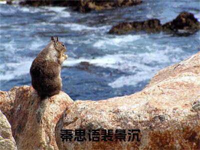 秦思语裴景沉裴景沉秦思语续集起点章节+全书阅读（裴景沉秦思语）书荒必看