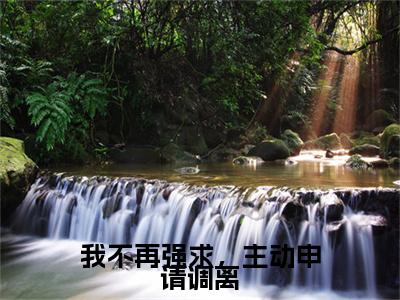 达瓦青占程晚梨：结局+番外（我不再强求，主动申请调离）全本完整+后续+结局在线阅读