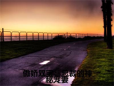 傲娇双宝：总裁的神秘宠妻小说（乔岚月）后续+番外精编之作无删减_（乔岚月）傲娇双宝：总裁的神秘宠妻小说结局+番外看点十足_笔趣阁