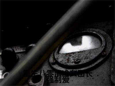 重生八零清冷女团长强制爱附加(重生八零清冷女团长强制爱)（宋旭生程婧）全本浏览阅读连载中