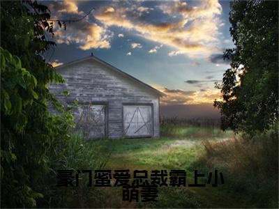 南宫胤豪门蜜爱总裁霸上小萌妻彩蛋+起始篇章（豪门蜜爱总裁霸上小萌妻）阅读