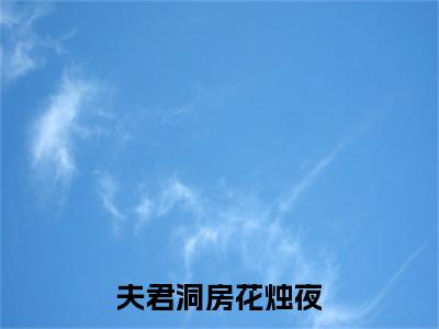 （书荒必看）魏无双秦煜小说(夫君洞房花烛夜)无删减在线下载阅读最终终章