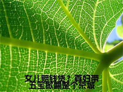 女儿赔钱货？寡妇带五宝掀翻整个京城云娘：结局+番外（云娘：结局+番外）完结阅读无弹窗大结局_(云娘)最新章节列表_笔趣阁（女儿赔钱货？寡妇带五宝掀翻整个京城：结局+番外）