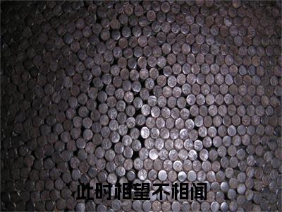 苏在野珠落附加完整在线阅读（此时相望不相闻）最近更新列表