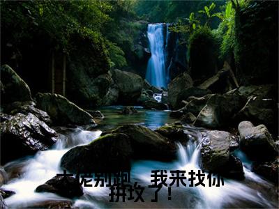 新章速递大佬别跑，我来找你拼坟了！小说小说结尾阅读无广告（江愿顾清衍）