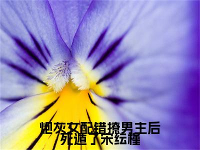 顾砚池宋纭槿小说番外+结局（炮灰女配错撩男主后死遁了宋纭槿）小说在线阅读