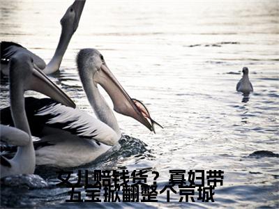 云娘附加女儿赔钱货？寡妇带五宝掀翻整个京城：结局+番外免费品鉴（云娘）全本浏览阅读连载中