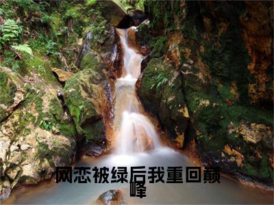前传苏亭夏靳颂言续集:全文+番外网恋被绿后我重回巅峰：结局+番外新上热文