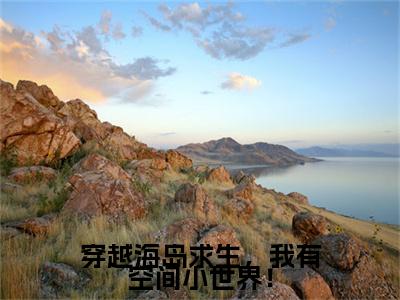 穿越海岛求生，我有空间小世界！电子书+番外篇章+（上官婉儿君弑臣）免费版在线阅读