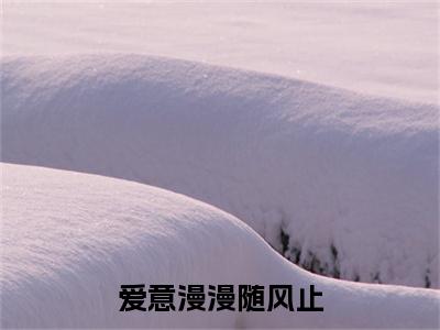 小说大结局小说程愈沈应淮小说已更新+特别篇（爱意漫漫随风止）纯净版