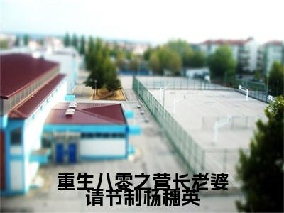 重生八零之营长老婆请节制杨穗英：结局+番外宝藏文全篇一口气_早期章节+后续（袁明钊杨穗英）