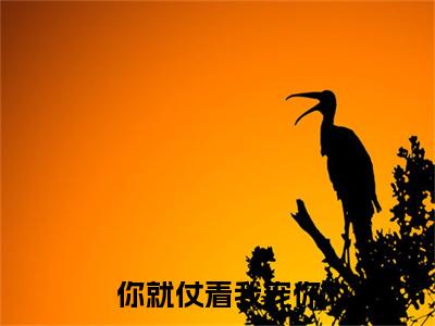 （书荒必看）你就仗着我宠你小说TXT无套路阅读