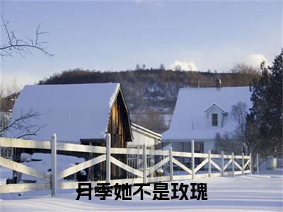 月季她不是玫瑰 邱楚婷周鹤延：+后续热血十足+延伸+完本（月季她不是玫瑰）畅享在线阅读