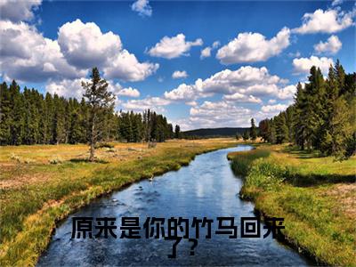 热文推荐原来是你的竹马回来了？小说大结局（谢叙白沈栖雀）书荒必看列表