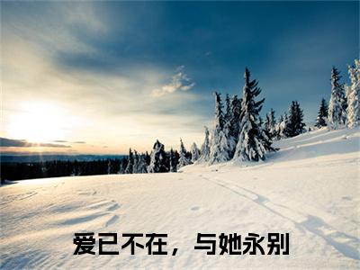 爱已不在，与她永别(沈承磊顾婉莹)（爱已不在，与她永别）全书+后续+结局在线阅读