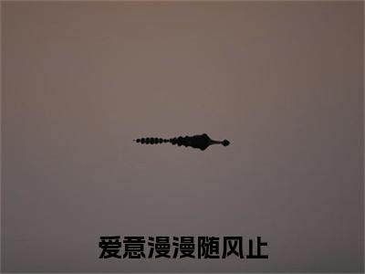 （爱意漫漫随风止）：+后续+番外 程愈沈应淮后续全本浏览阅读