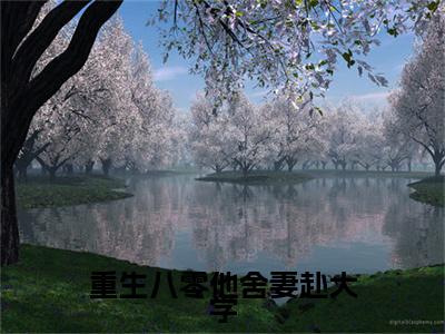重生八零他舍妻赴大学小说章节目录+序章（宋时安傅心岚）全书畅享在线