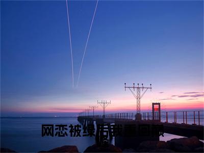 苏亭夏靳颂言网恋被绿后我重回巅峰小说整本+后续（网恋被绿后我重回巅峰）清爽版阅读